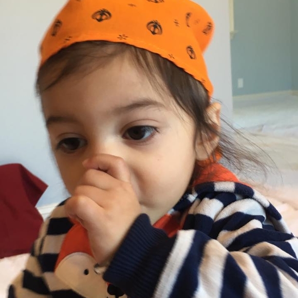 Meet your Posher, Heera - Picture 1 of 1